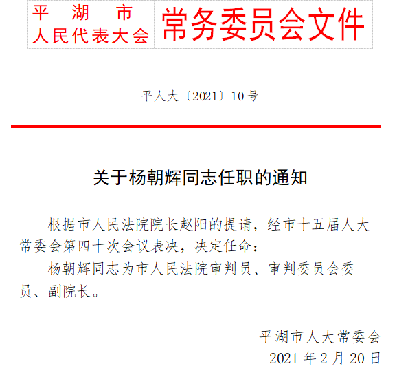 大黄最新人事任命，引领企业走向新篇章，大黄人事大调整，引领企业开启新篇章