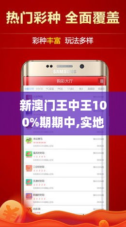 澳门王中王100,重要性解释落实方法_试用版7.236