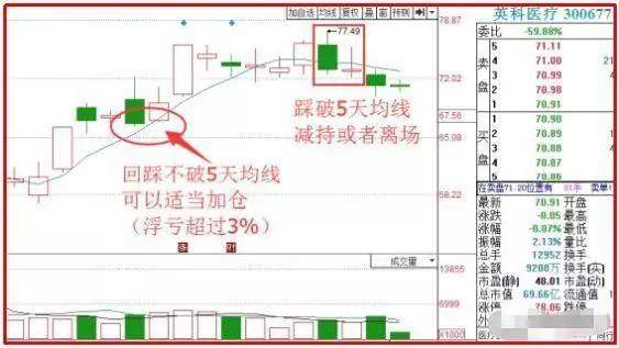 澳门天天开彩期期精准,适用性方案解析_X版51.82