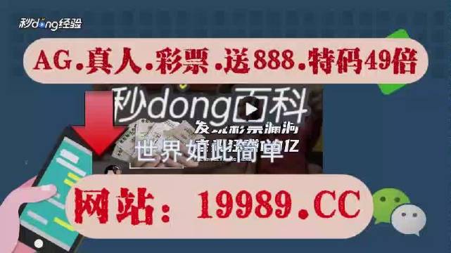 2024澳门天天六开奖彩免费,实践验证解释定义_限量款51.462