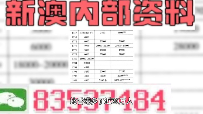 新澳门特免费资料大全,效率资料解释落实_特别版2.336