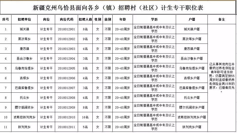 托克逊县计划生育委员会最新招聘信息及求职指南，托克逊县计划生育委员会招聘信息与求职指南