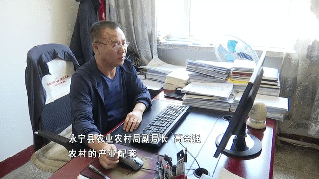 今目关注最新一期CCTV4，深度解析与热点探讨，CCTV深度解析与热点探讨，最新一期CCTV4今目关注